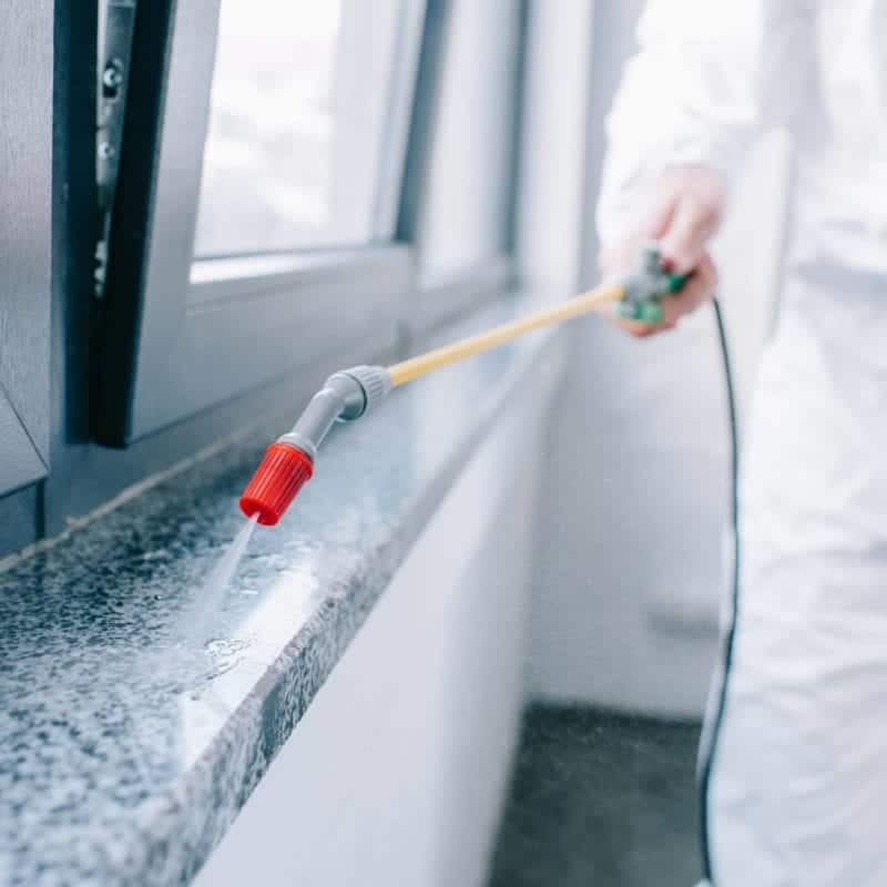 Pest Control Marketing 2 Pest control tech spraying