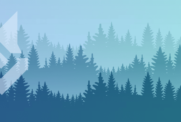 Our Commitment To Planting Trees