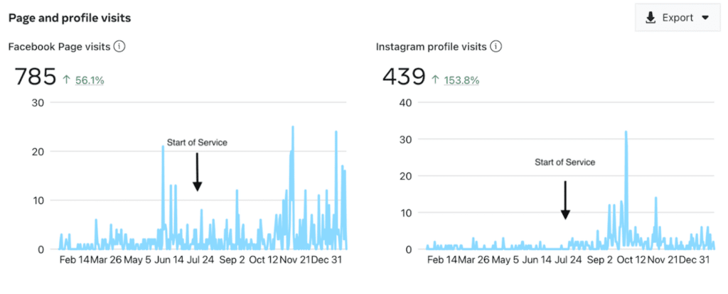 Page and Profile Views for Facebook and Instagram