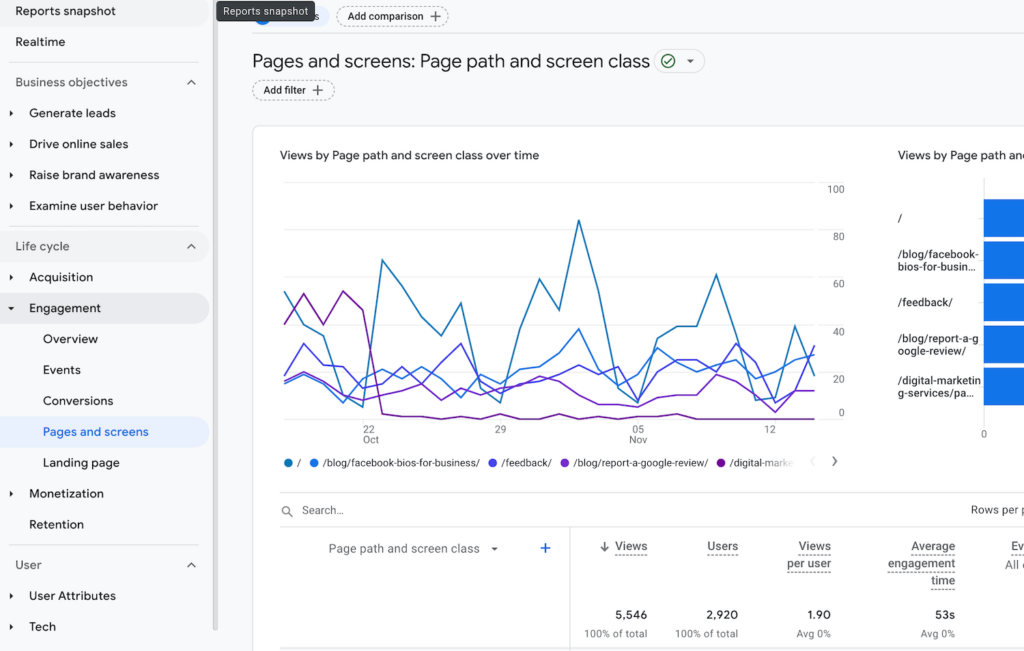 View of a report selected in google analytics