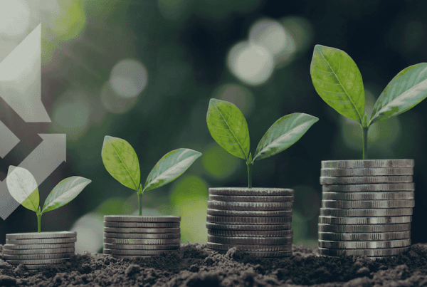 5 Most Powerful Pieces of an eCommerce Growth Strategy