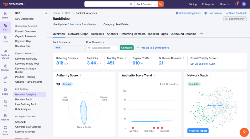 Backlink Overview Example
