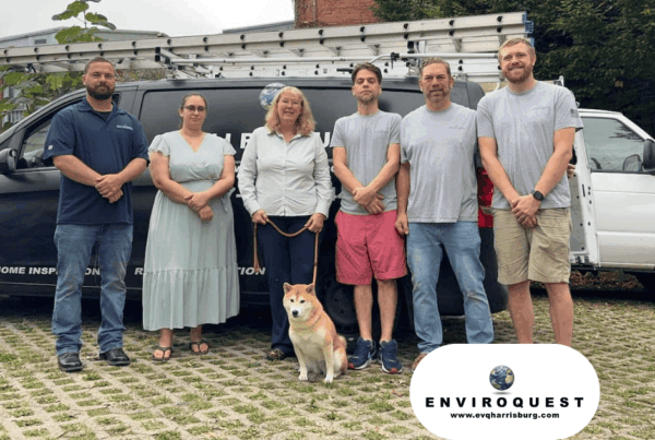 Enviroquest Case Study Image