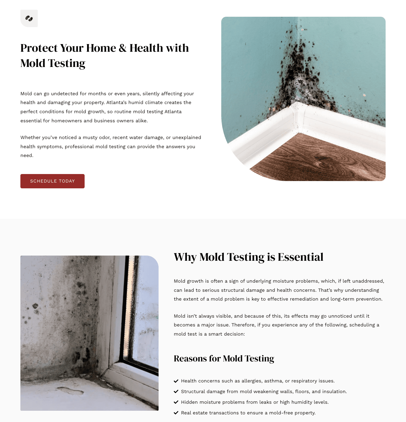 Web Design Services 3 New Website With WolfPack