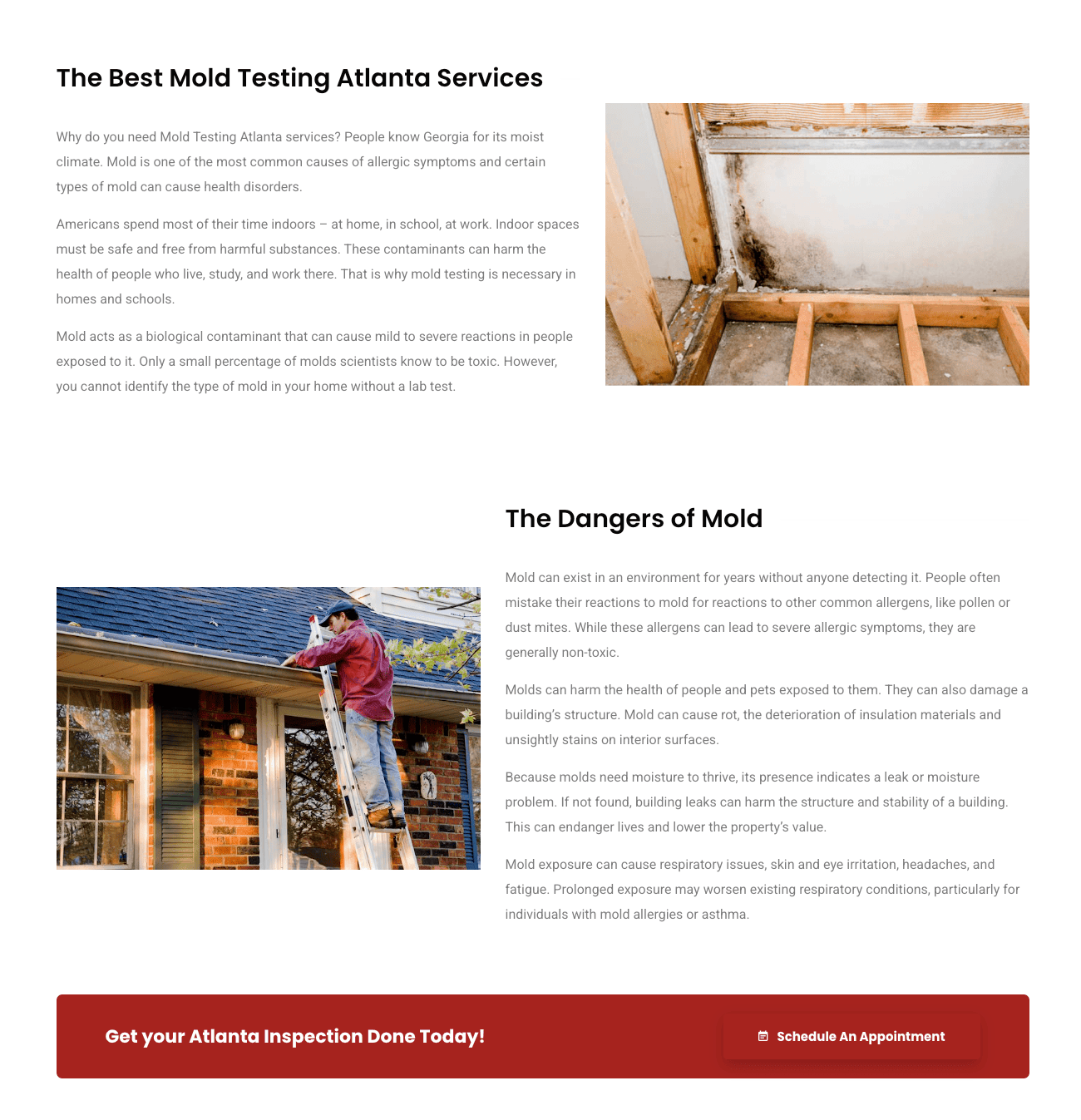 Web Design Services 2 Previous Website Before WolfPack