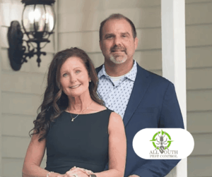 All South Case Study Featured Image