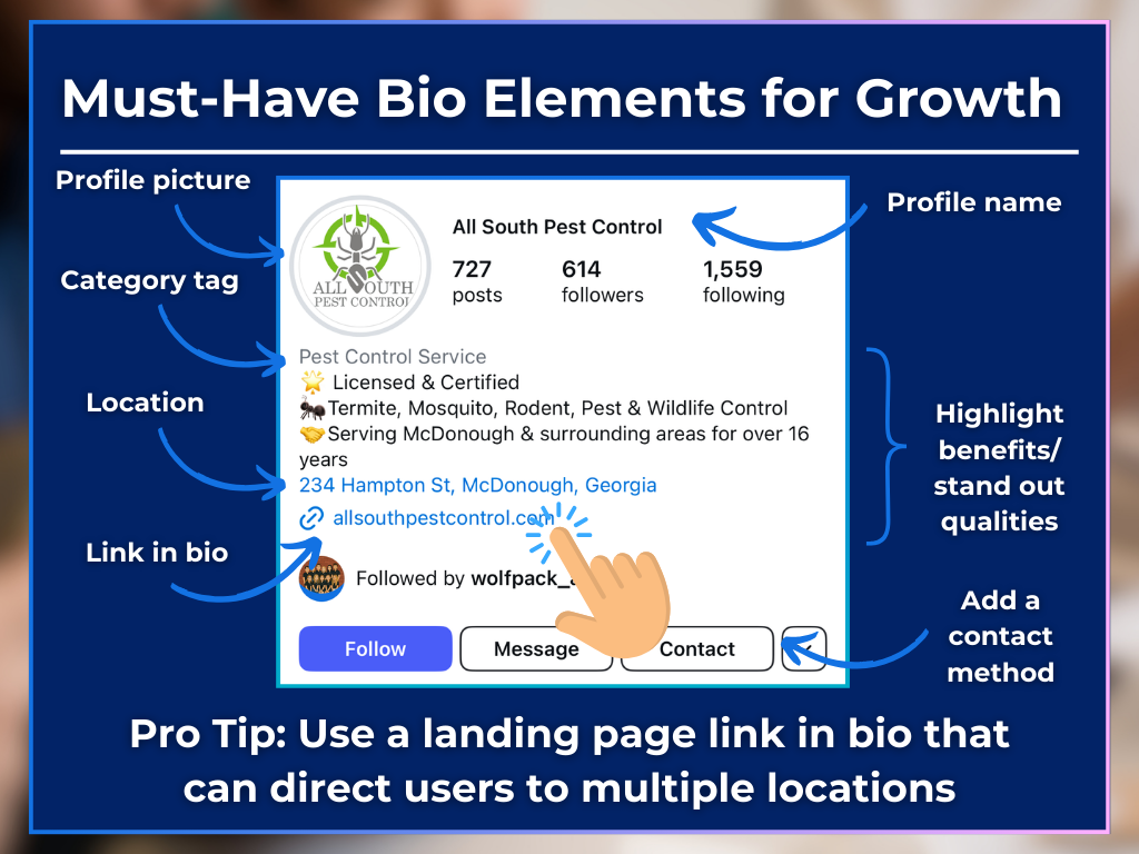 instagram bio ideas for growth