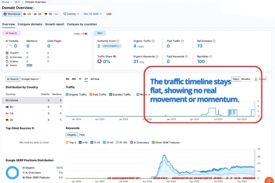 Traffic graph showing a flat SEO timeline with no visible growth throughout the year.