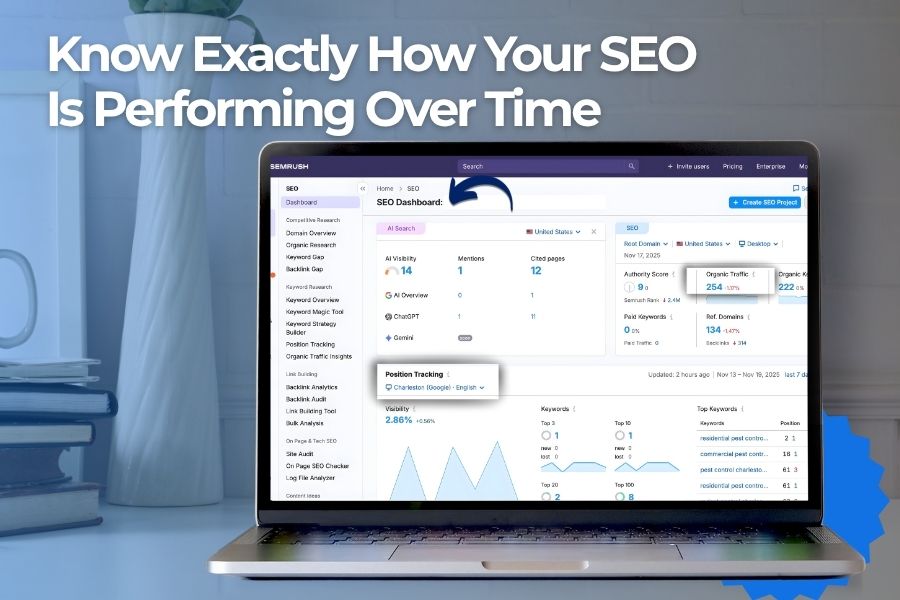 Analytics view showing changes in organic traffic, keywords, and visibility for SEO tracking.