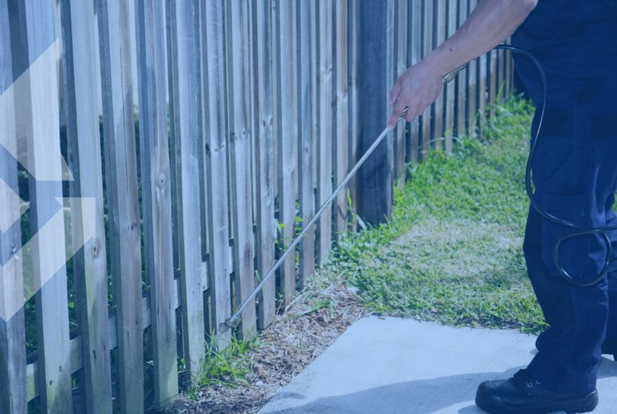 pest control marketing ideas