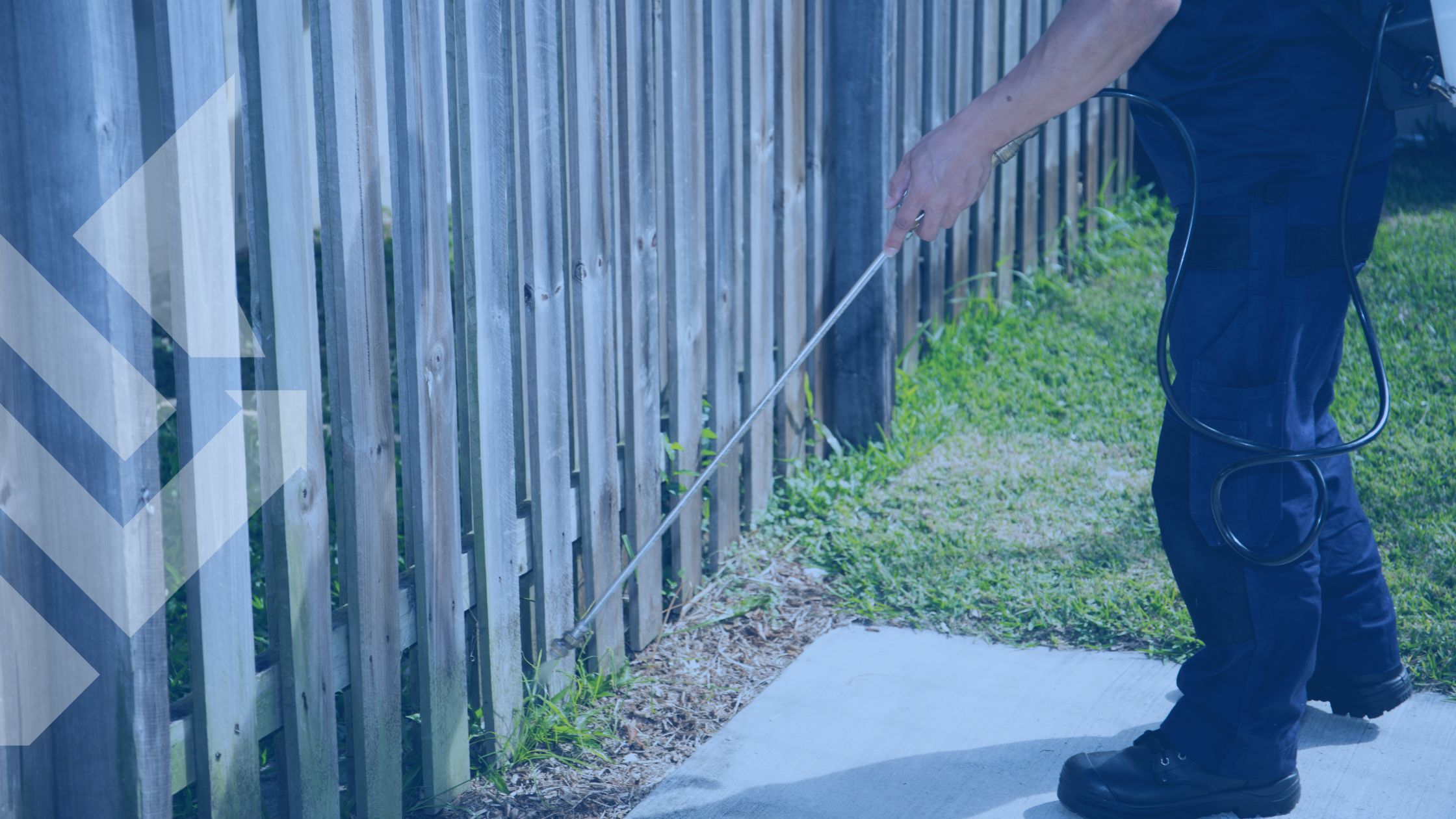 pest control marketing ideas