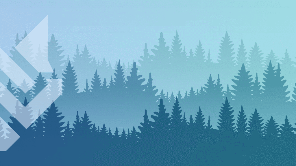 Our Commitment To Planting Trees
