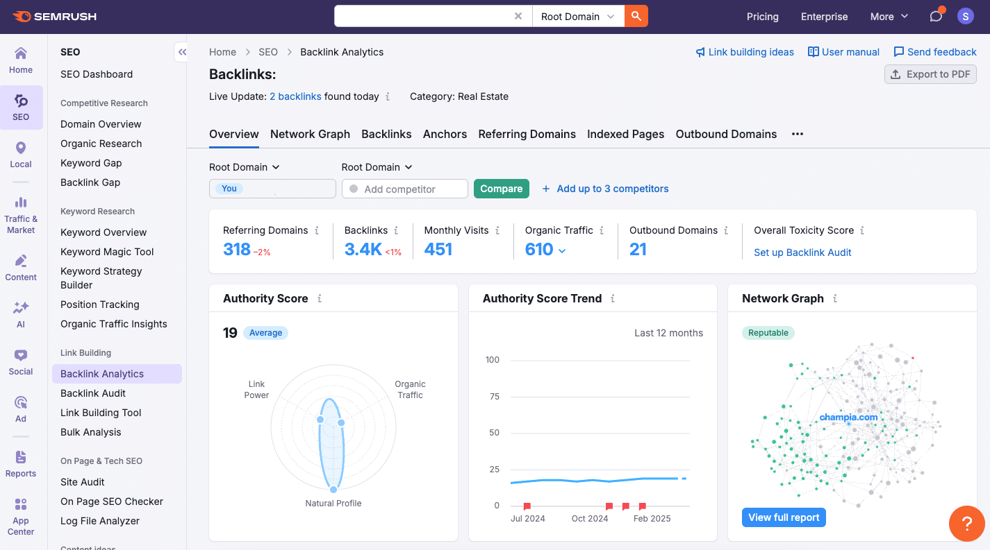 Backlink Overview Example