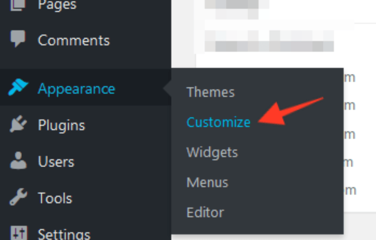 Wordpress Customizer