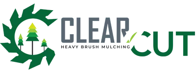 Clear Cut Heavy Brush Mulching