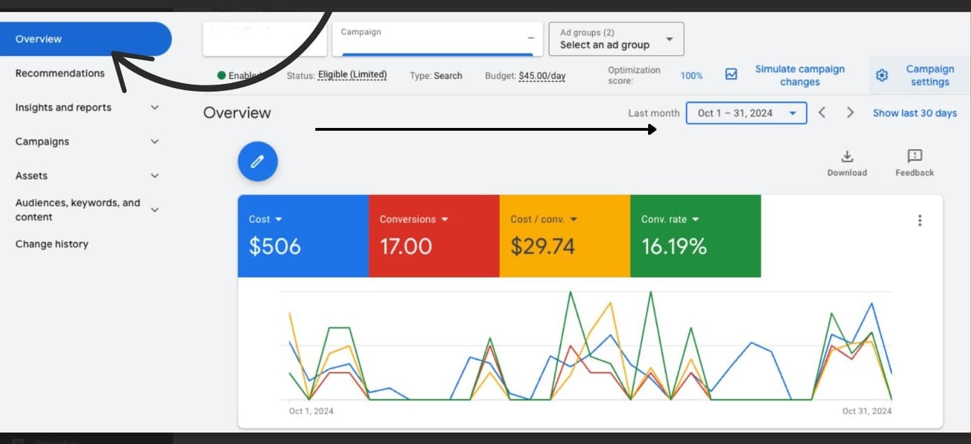 Cost per conversion, conv. rate, and conversion count for Google Search Ad campaign, under the "Overview" tab