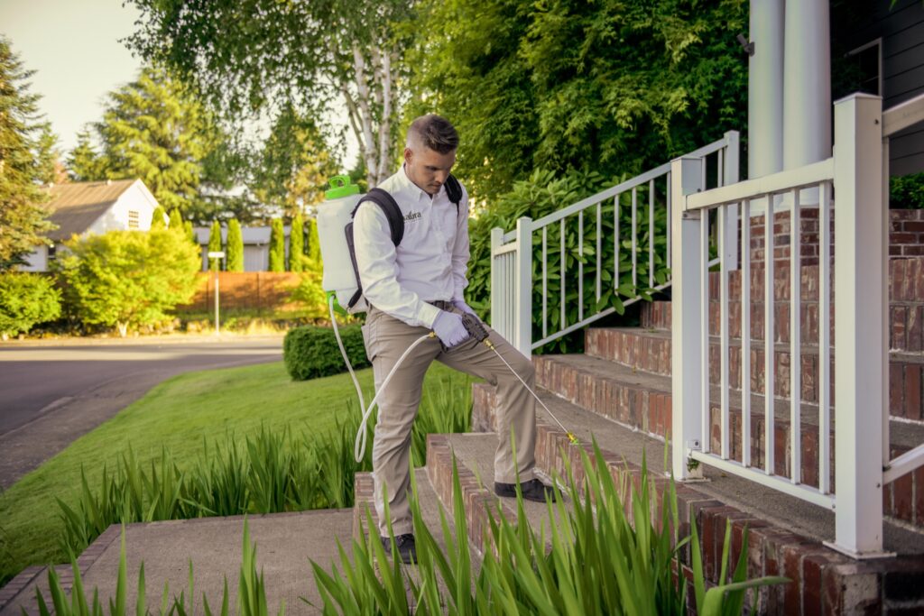 Natura Pest Control technician spraying a perimeter pest treatment around a home's front steps, Vancouver, WA
